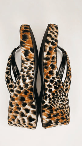 Seychelles Cheetah Platforms 6