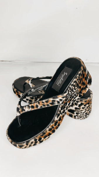 Seychelles Cheetah Platforms 6