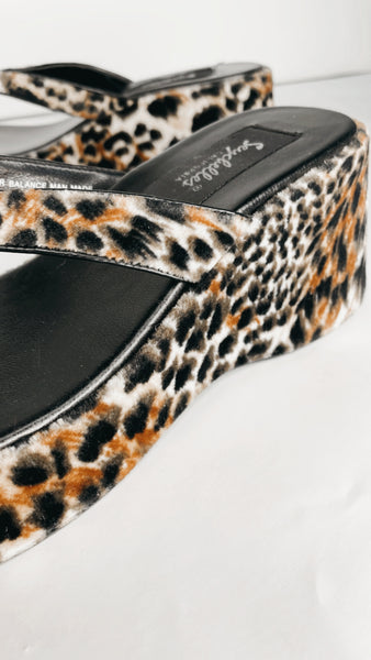 Seychelles Cheetah Platforms 6