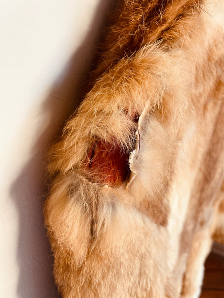 Long Fur Coat